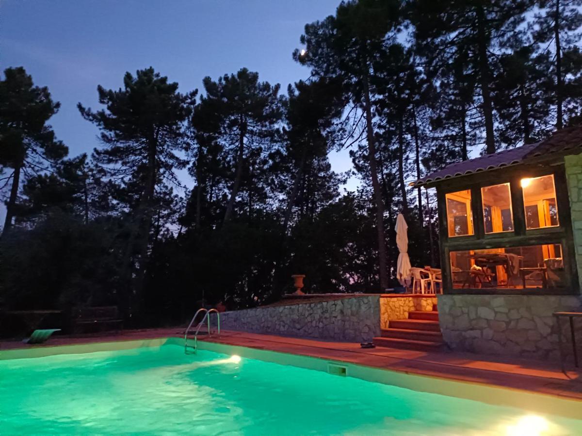 The Lemon Place By Nicola Real Estate Corsanico-Bargecchia 외부 사진