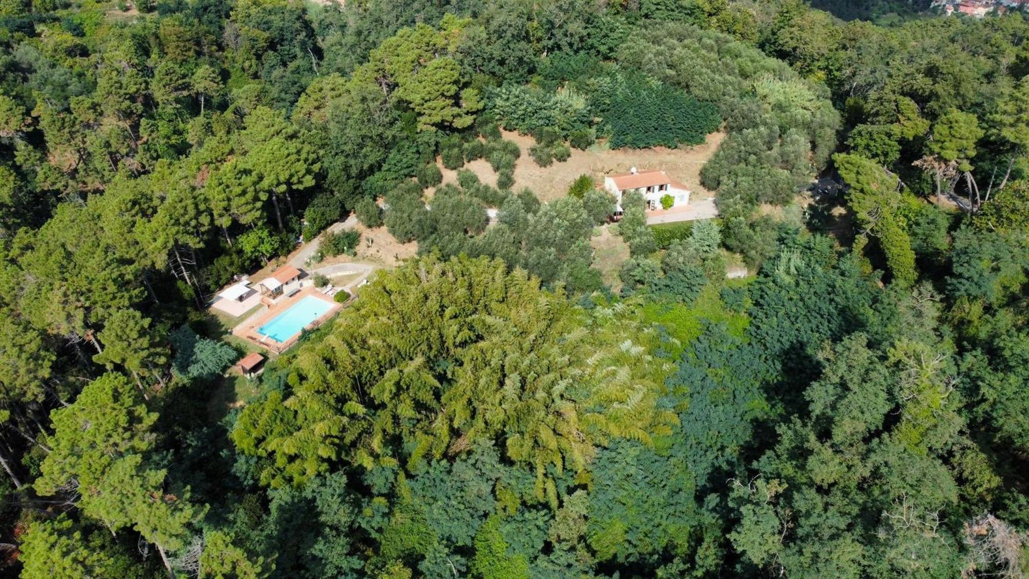 The Lemon Place By Nicola Real Estate Corsanico-Bargecchia 외부 사진